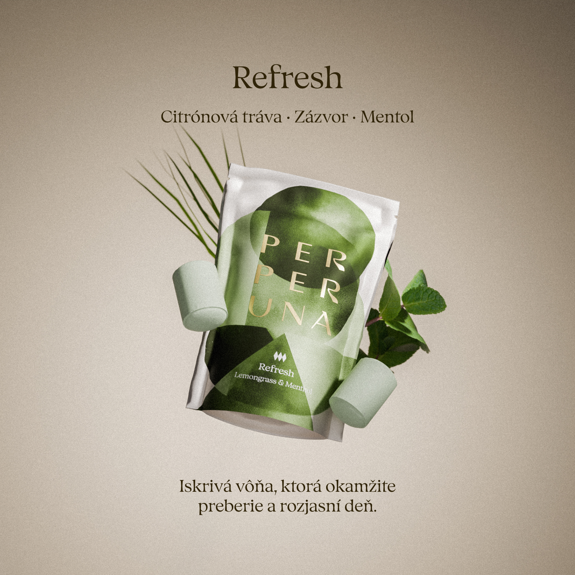 Limitierte Auflage: Schwarze Schale + Refresh, Calm und Gingerbread Badebomben