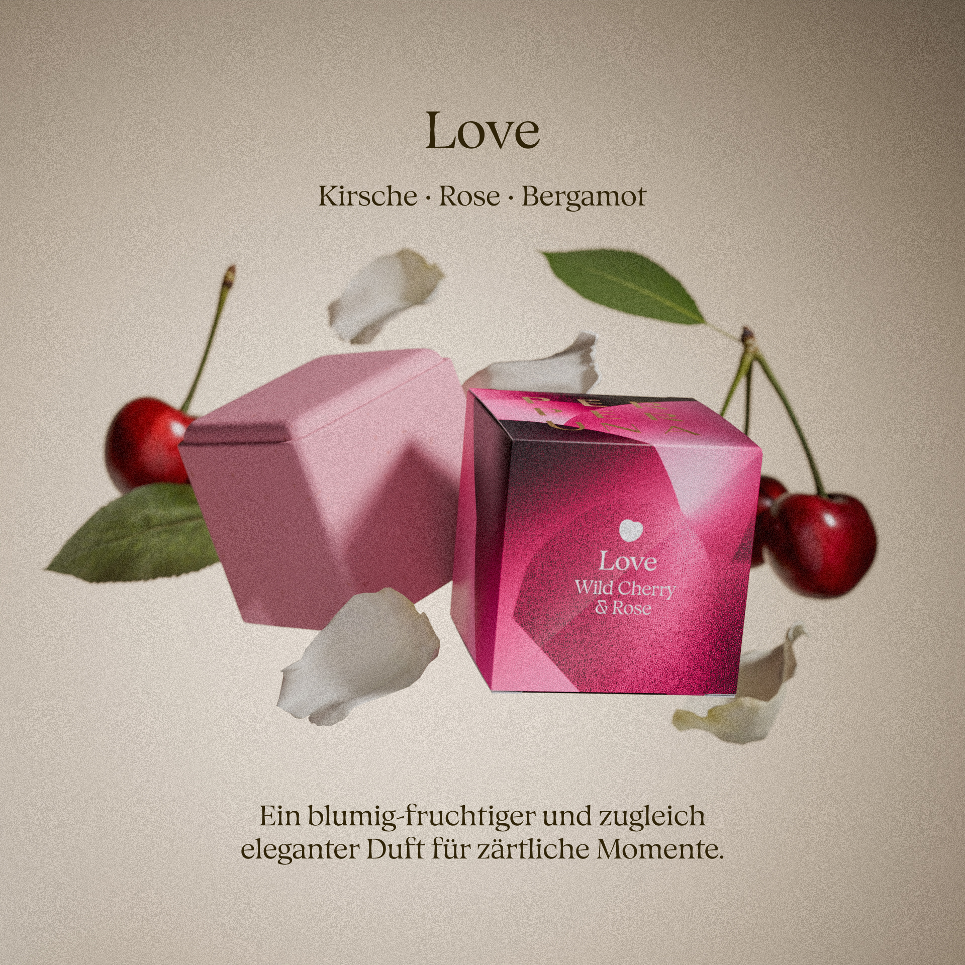 Komplette Kollektion – The Ritual, Good Night und Love