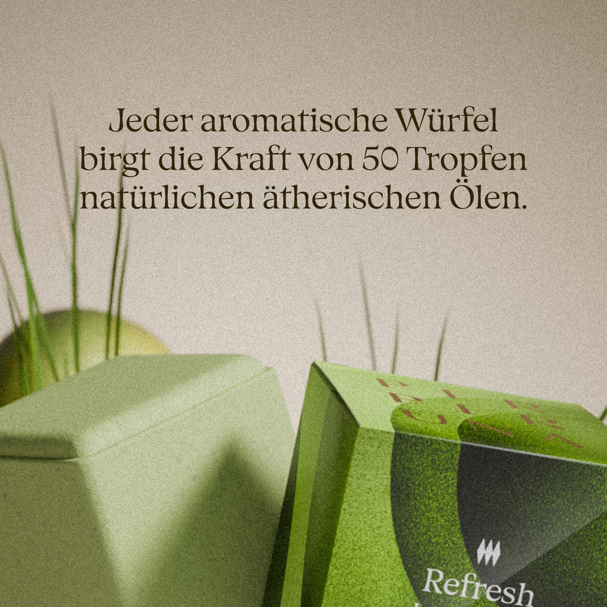 Refresh - Aromawürfel für die Dusche
