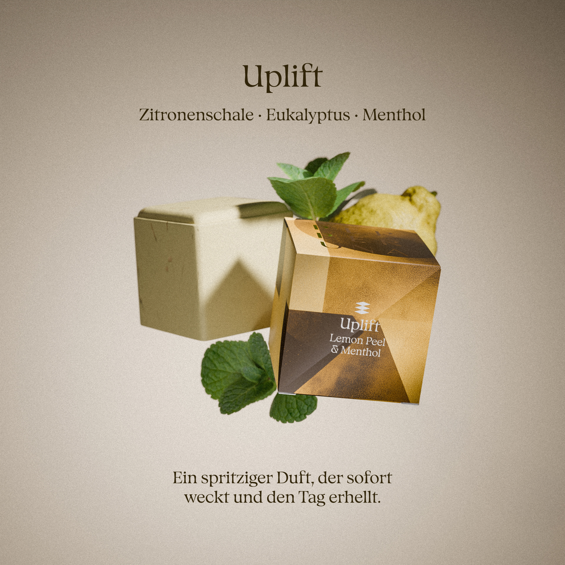 Komplette Kollektion – The Ritual, Good Night und Love