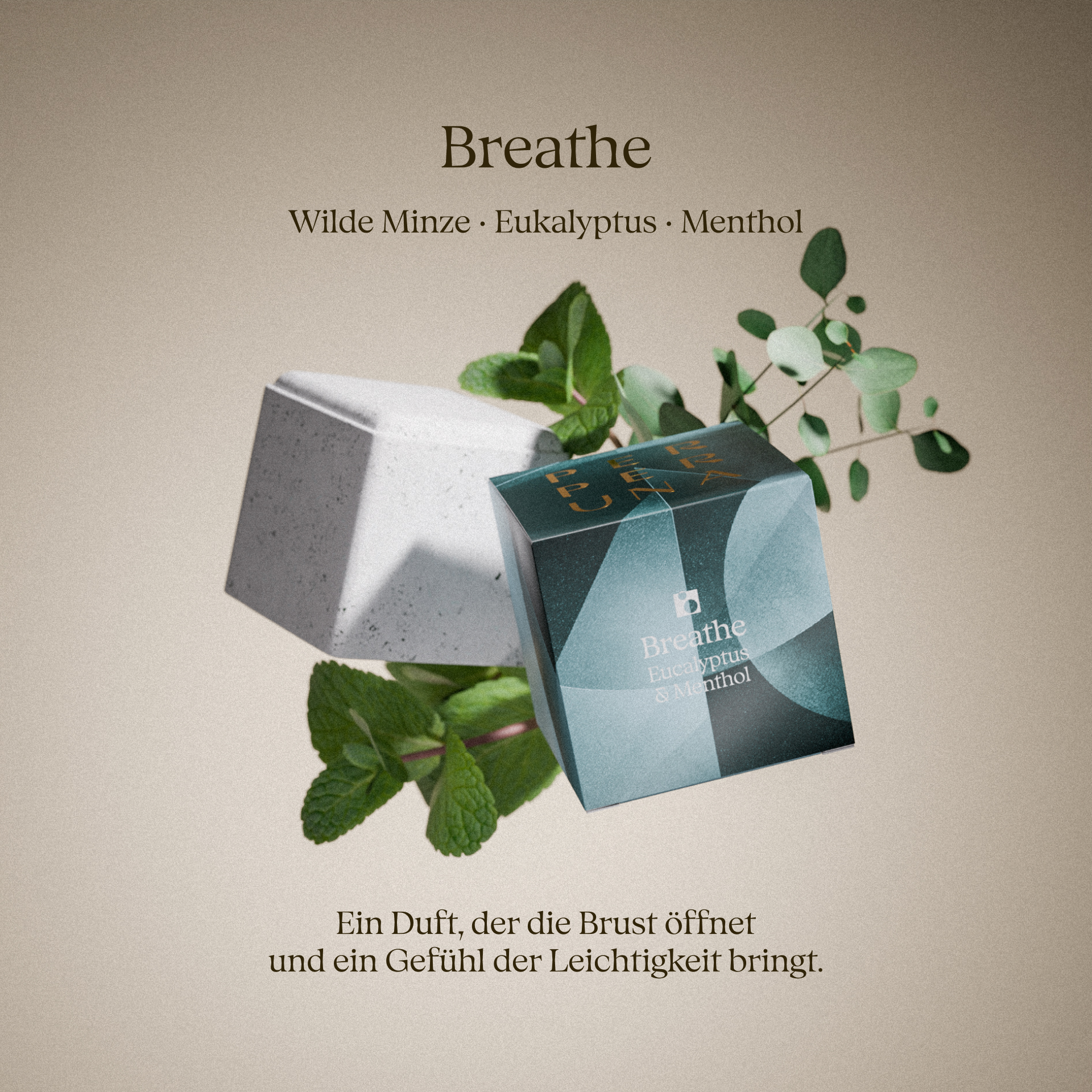 Komplette Kollektion – The Ritual, Good Night und Love