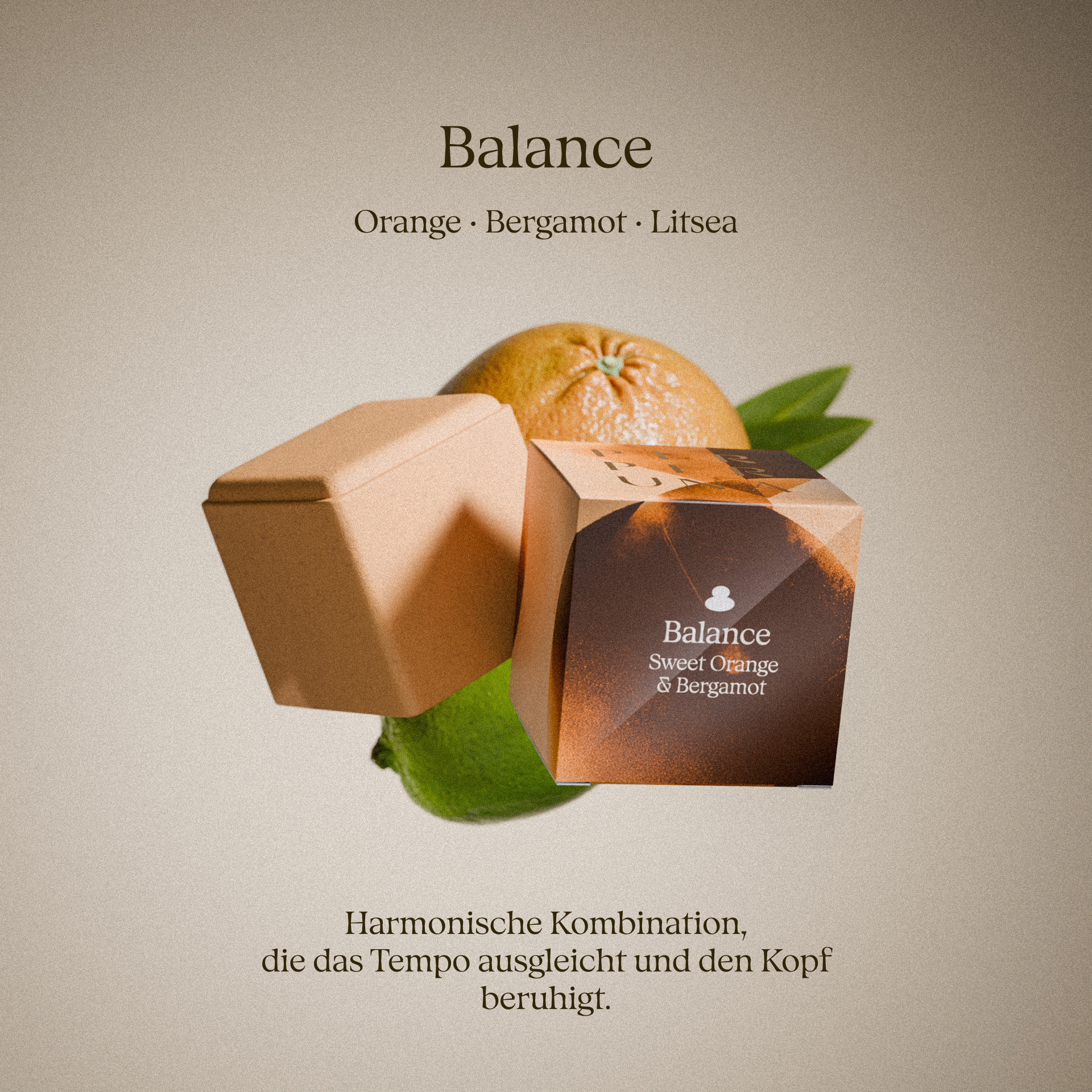 Komplette Kollektion – The Ritual, Good Night und Love
