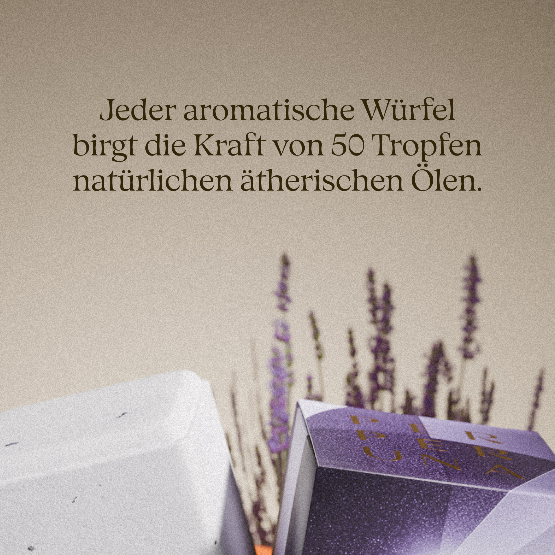 The Ritual - Komplettes Set mit Steinschale