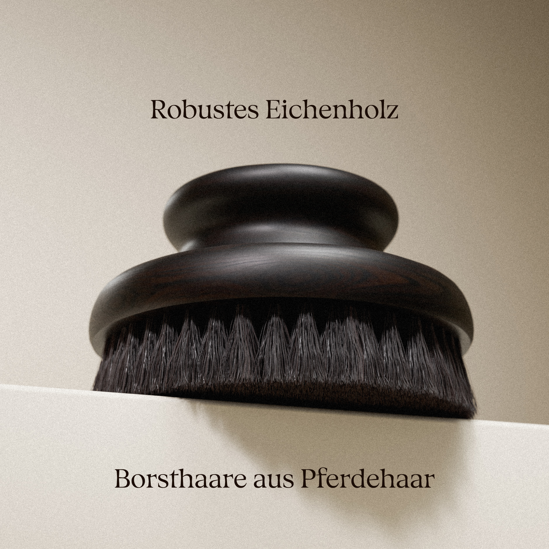 Trockenbürste