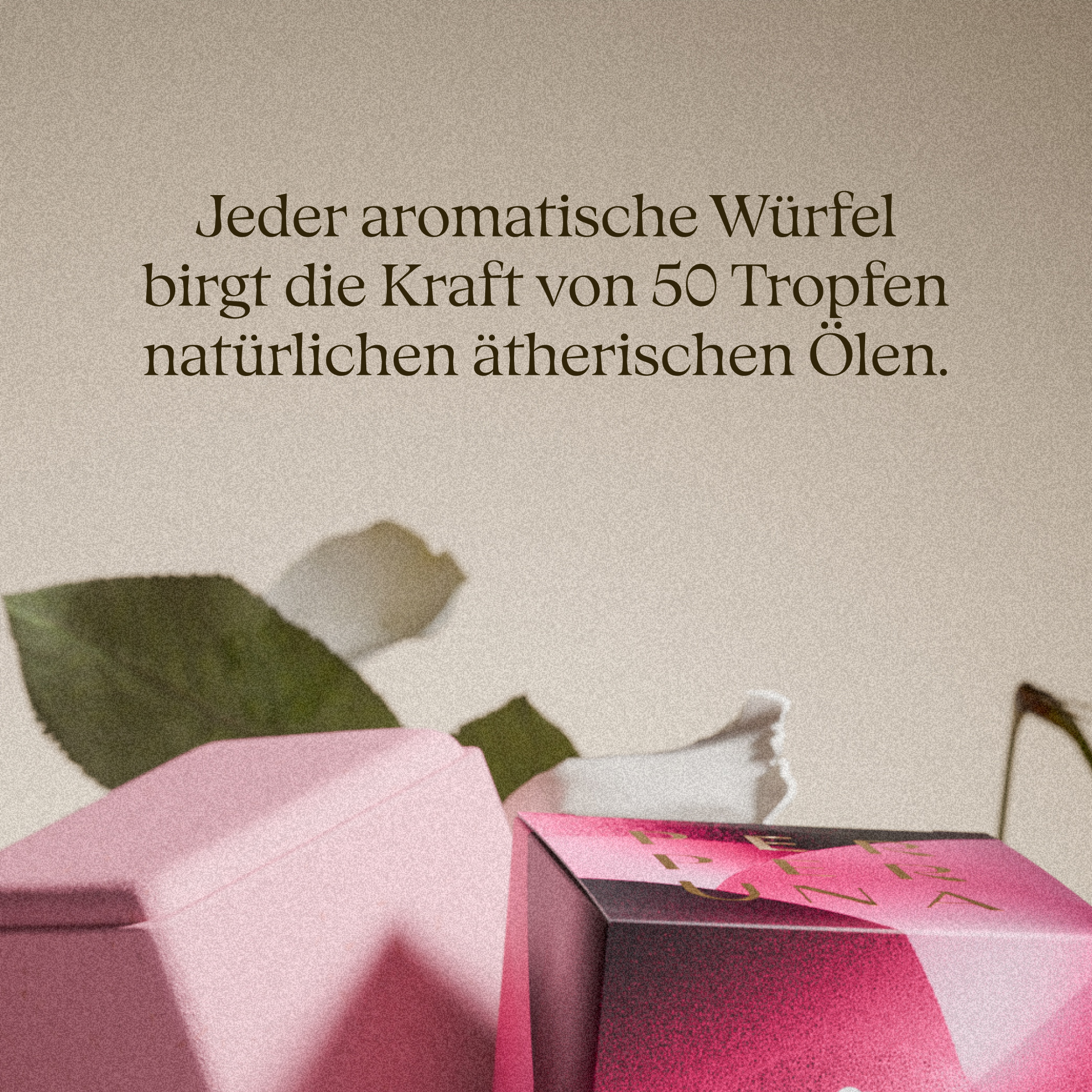 Komplette Kollektion – The Ritual, Good Night und Love