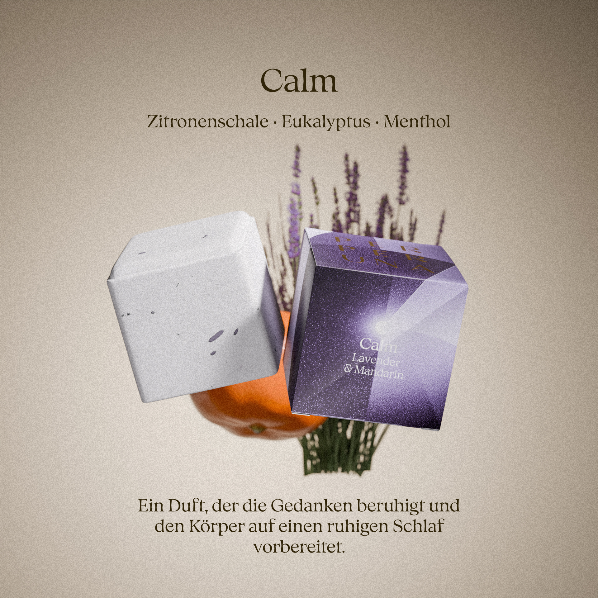 Komplette Kollektion – The Ritual, Good Night und Love