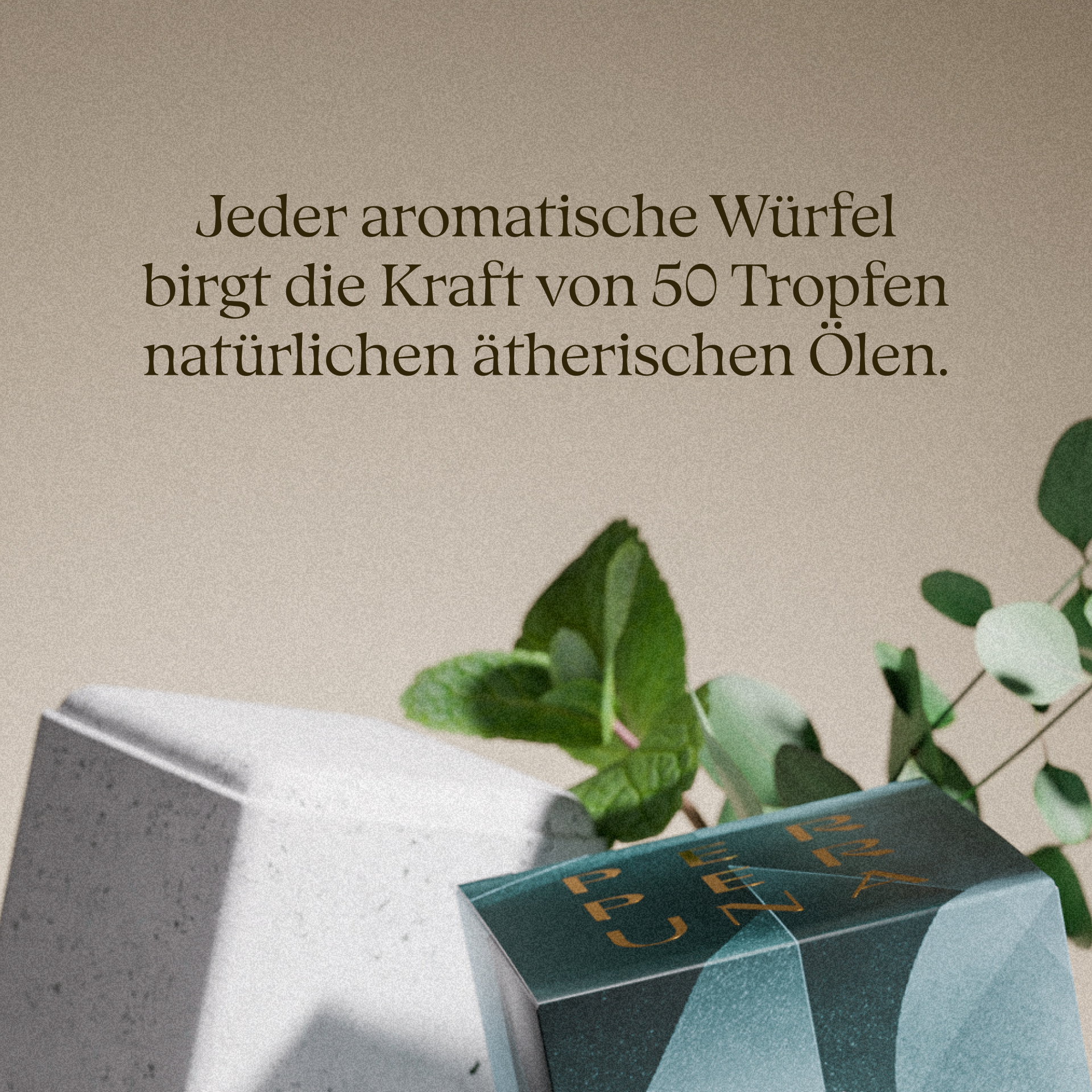 Breathe - Aromatischer Duschwürfel