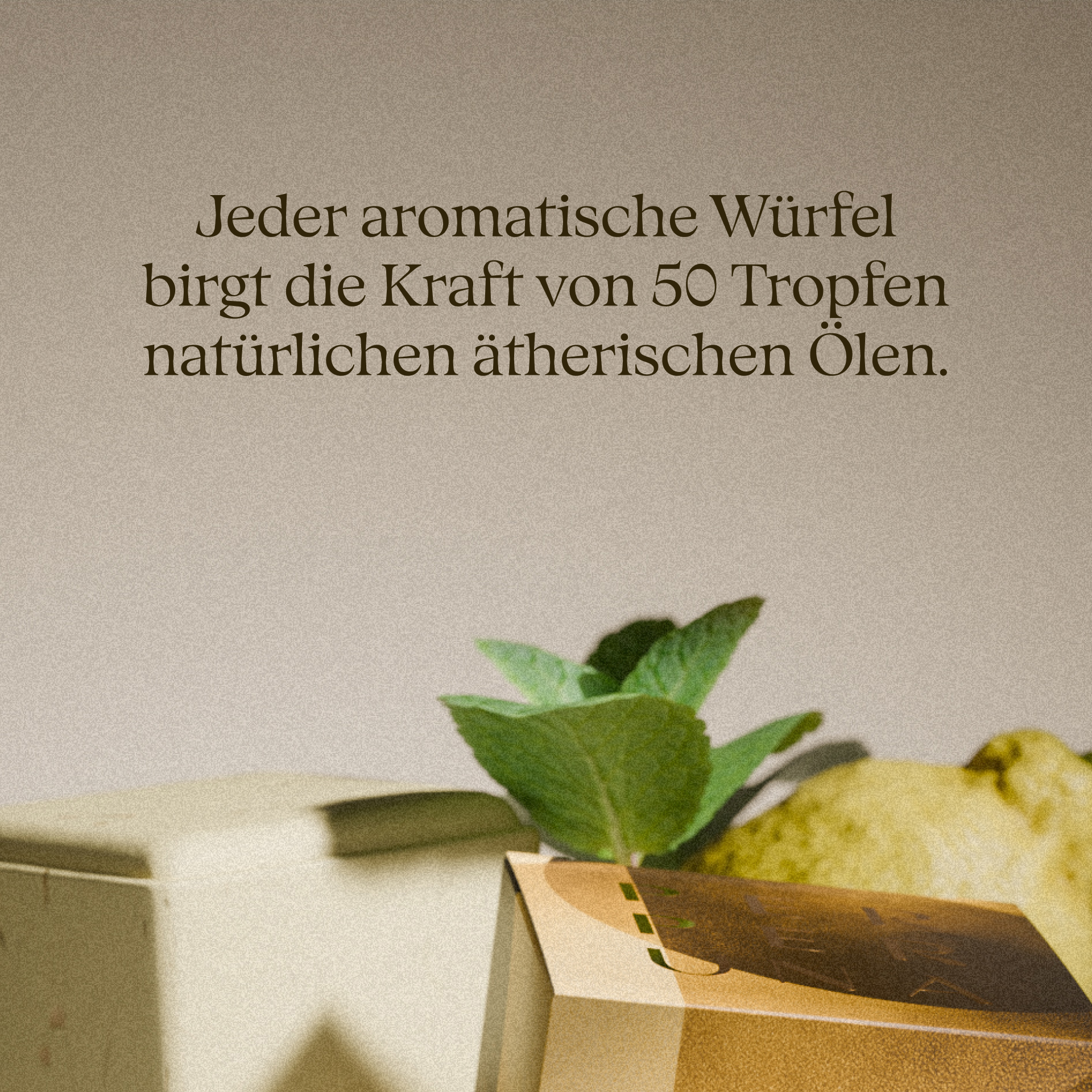 [Unvollkommene] Uplift – Aroma-Duschwürfel