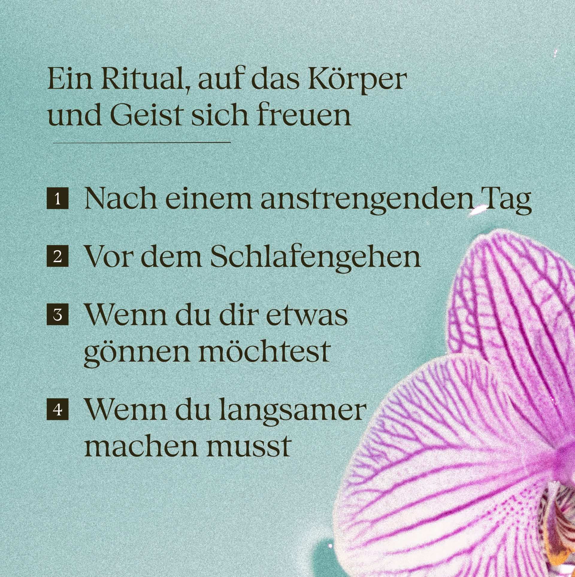 Komplette Teebad-Kollektion + Becher und Löffel